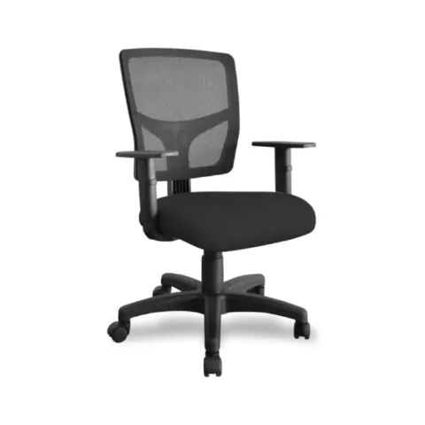 Cadeira Diretor Ergo NR17 Bulk